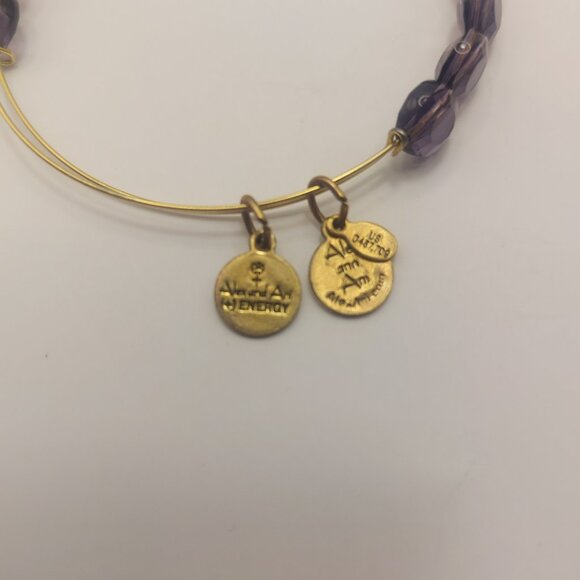 ALEX AND ANI Amethyst Luxe Bracelet Beaded Faceted Bangle Gold Electroplate EUC - Picture 6 of 14